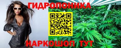 МДПВ Обь