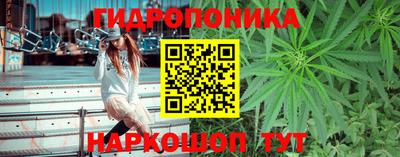 стаф Партизанск